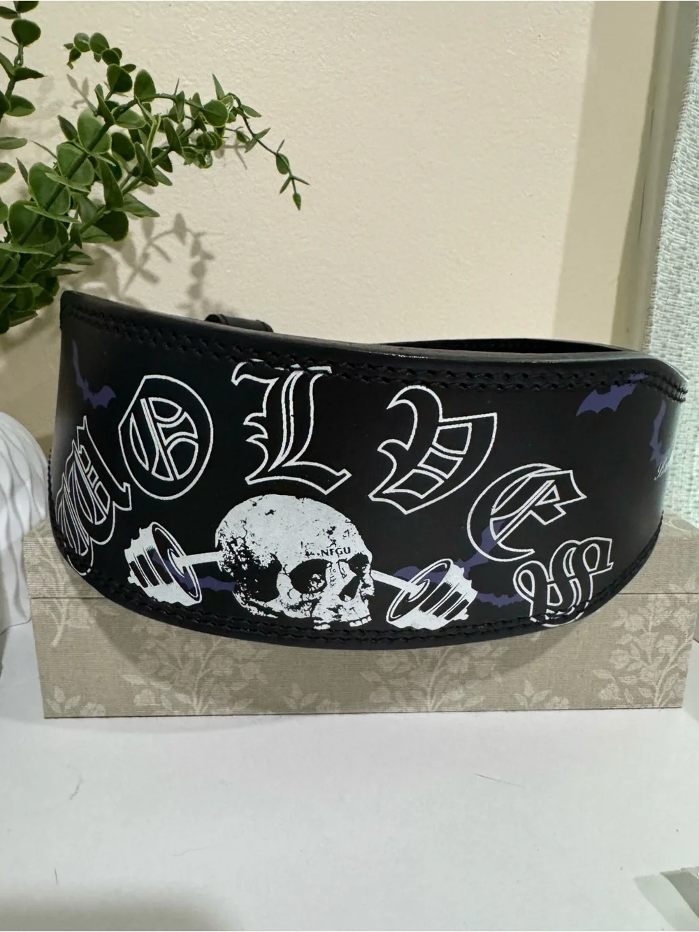 Darc Sport Black Skull Weightlifting Belt for Men